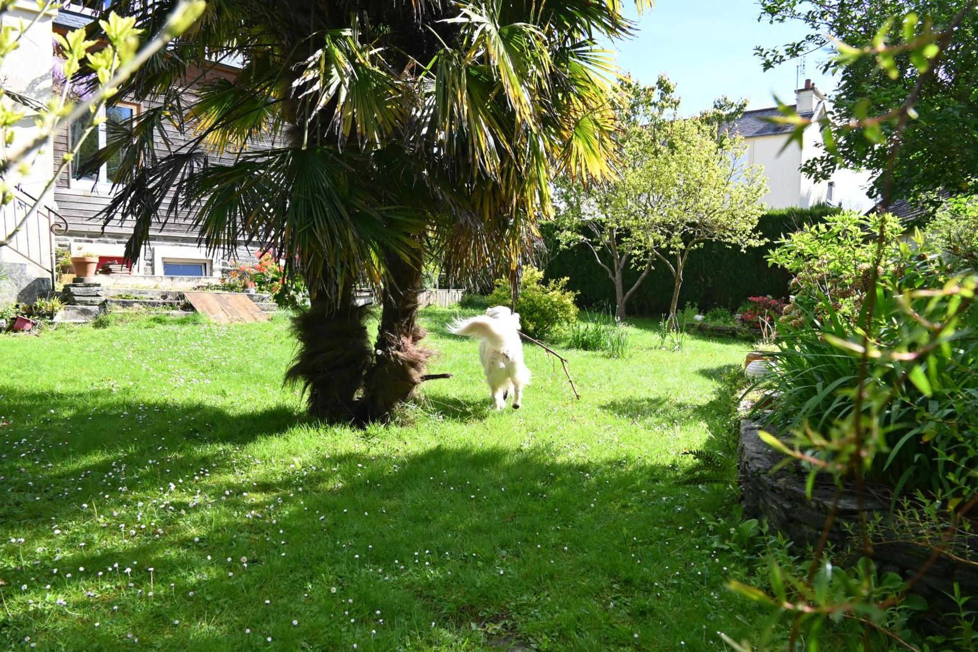 Ferienwohnung Jardin Madeleine Morlaix Exterior foto